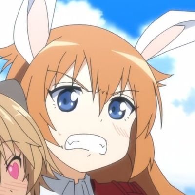 DredElTonto's profile picture. 