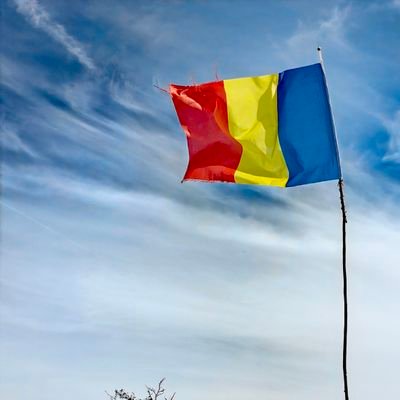 Maia_Stef's profile picture. Just for fun 🐦
 Nu vedem până nu credem 😀
Viața e scurtă, iertați și iertați-vă ❤️