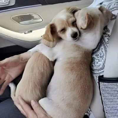 Flaca1Venezuela's profile picture. Maracaibo☀️/Vergacion/Agradecida con Dios🙏/Familia👨‍👩‍👧‍👦/Rios💛Montañas🏔Quebradas🦜|Viajes✈
Deporte🧗‍♀️Comer Sano!hija d Madre🇻🇪&Padre🇨🇴!♈Navidad🎄