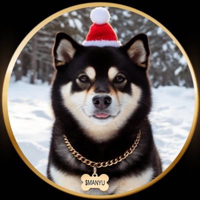 Bdawg9811's profile picture. $MANYU  @REALMANYU #RETIREWITHMANYU