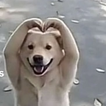 aaannashi's profile picture. Me gustan los dulces.