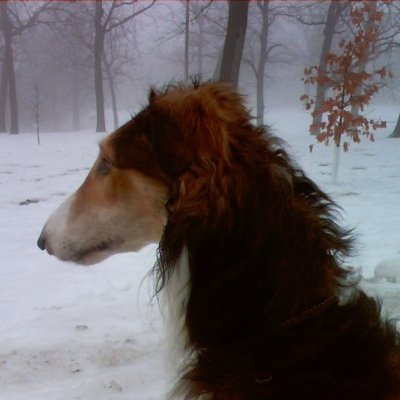 koii_sann's profile picture. 20yo, artist, early stage gym lover, happy person, i love sleep token & bmth