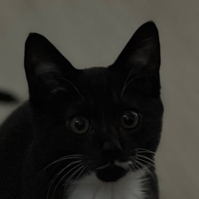 akimaki99's profile picture. 아키 집사가 운영하는 계정입니다 @edgeX_exchange