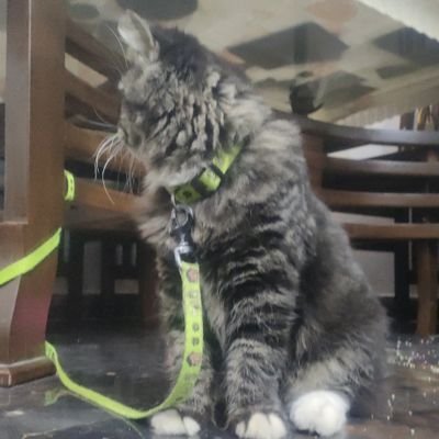 vicky_kaus4577's profile picture. Hello