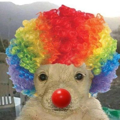 Rainbowfartsyum's profile picture. Hi I'm new here,,,👀