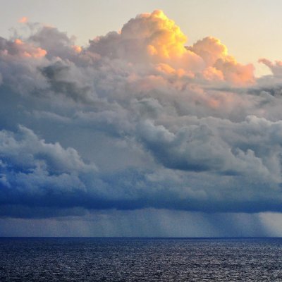 0x_Ryan's profile picture. 