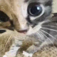 guidedbylexapro's profile picture. consciousness is a curse?