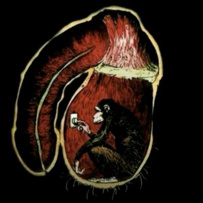 HODLzzz's profile picture. 