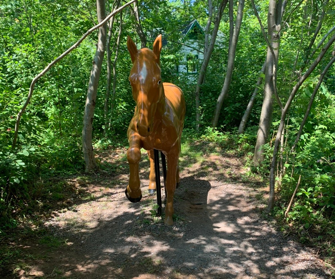 yeeehawwmcf's profile picture. 