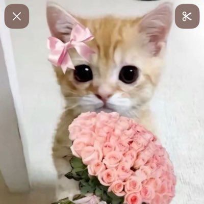 Qqchosedepasmal's profile picture. 🦷