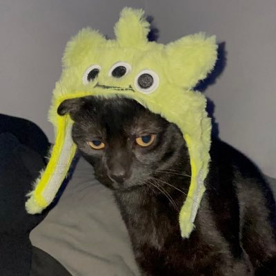 Angeel_Artesano's profile picture. 