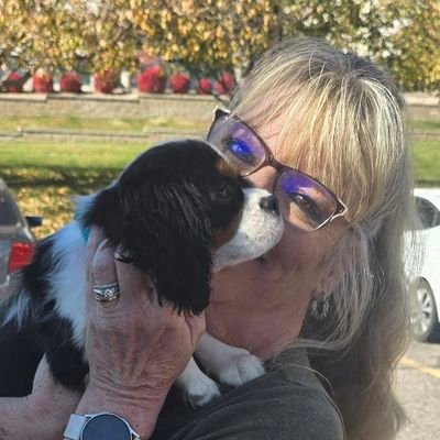 4Dogs4Me4Joy's profile picture. 