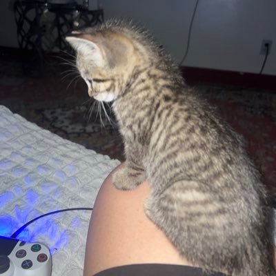 turkaa90's profile picture. 