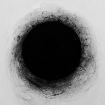 aufgehenderRest's profile picture. 