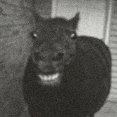 hawt_souse's profile picture. He/Him
Just a normal guy.
I love metal/hard rock