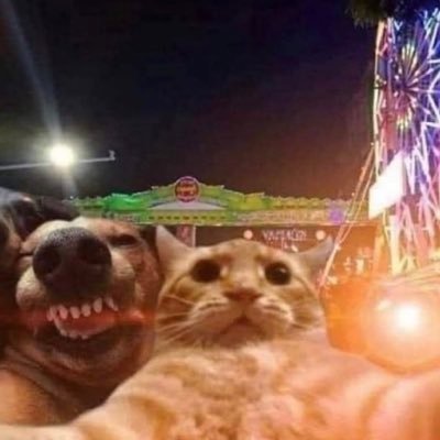 Lmskhot's profile picture. stali i i i ne