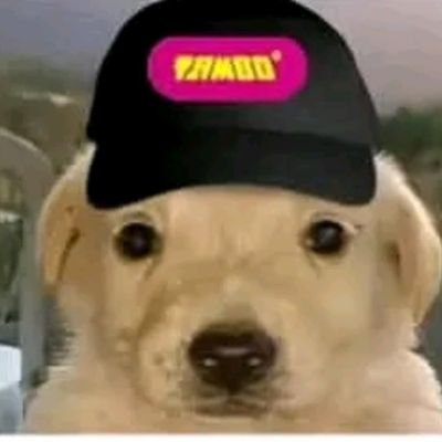 mernuel23's profile picture. 