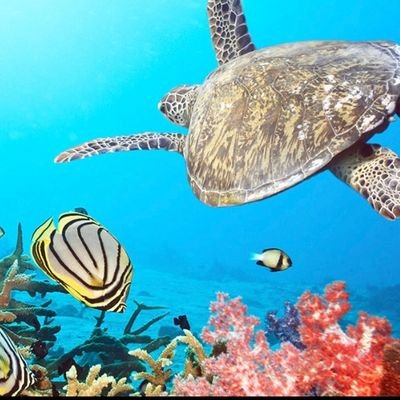 Raul2007Raul's profile picture. Paradex