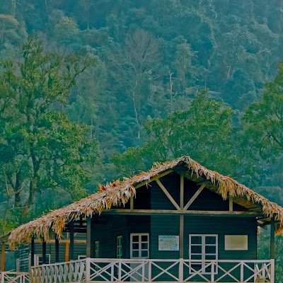 JsnsMcp82923's profile picture. 