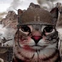 aktiejonas5's profile picture. 