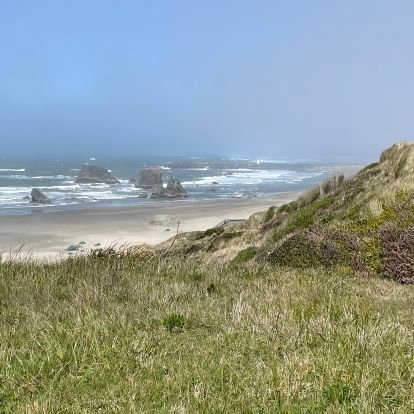 sybscorner's profile picture. MAGA