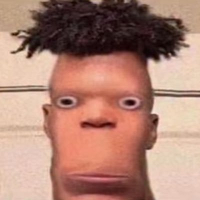 NPC444lol's profile picture. Not A Real Person 👽🧍🏾‍♂️