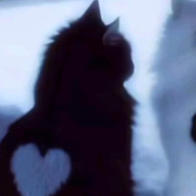 Sharksandcats27's profile picture. #edtwt|| “Allegedly” problematic || m/w with @abortedd_illyy 🤍|| Gbmi: 14-12 || Ana ||