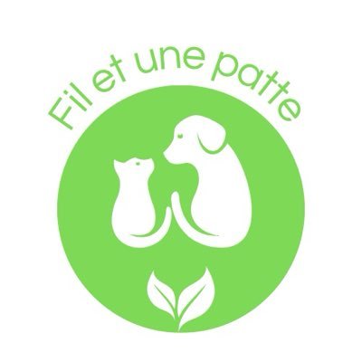 Filetunepatte's profile picture. 