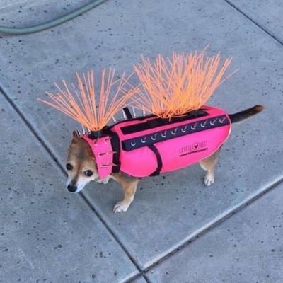 jusuf26774430's profile picture. fight for the hope. forgive. love. watch your words. share good things. Inspire, let it chain.