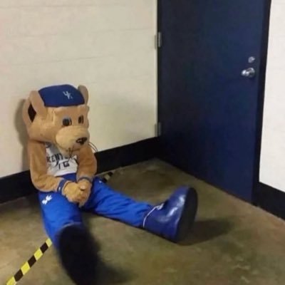 SWildcat_'s profile picture. Kentucky Basketball Updates and Content in the Big Blue Room #HANG9 #RaysUp