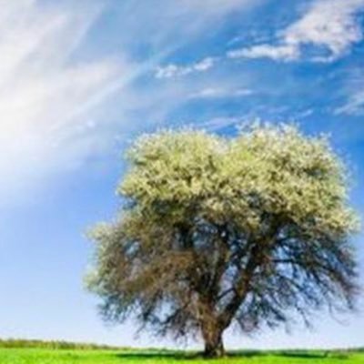 Alexkay2379's profile picture. 