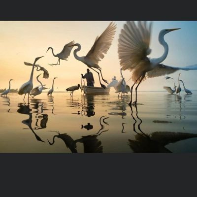 yektamawa's profile picture. 