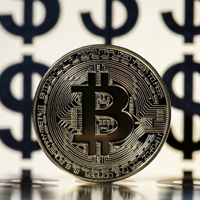 BitcoinDol10163's profile picture. $$$BTCD$$$