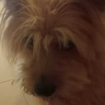 paulool83937003's profile picture. 