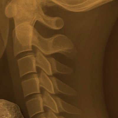 xiilsl_'s profile picture. free as birds, light as whispers