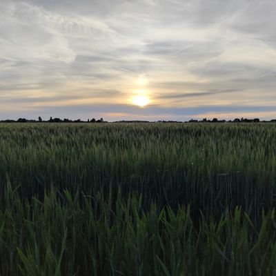 E_Lens_1994's profile picture. 