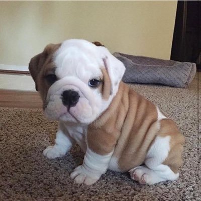 debbiemcgough75's profile picture. Love reading & supporting RP community. Fifty shades, Grey Darker Freed books. Fan of Driven series & books. Crossfire books. Gabriel’s inferno books & films.