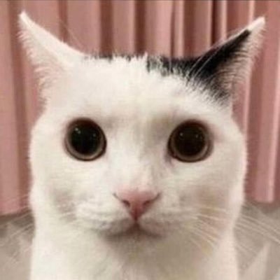 sleepycoded's profile picture. zzz