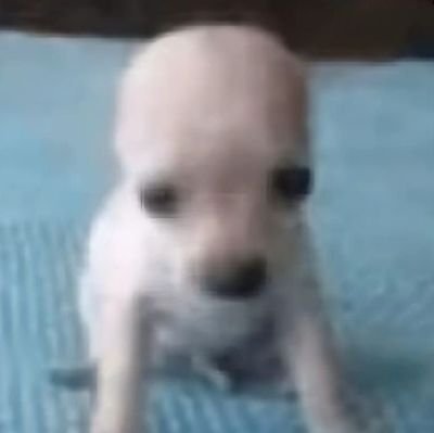 RXY_WAS_H3R3's profile picture. They/Them/He (Agender)
multifandom artist|
idk what else to say