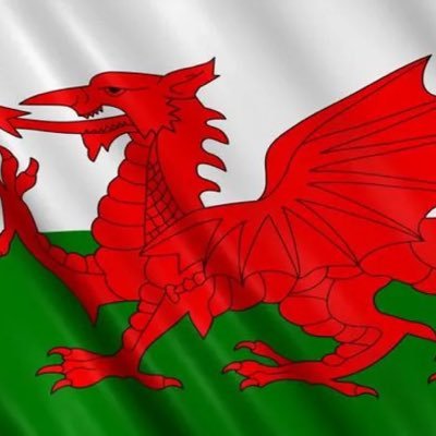 welsh666bull's profile picture. 
