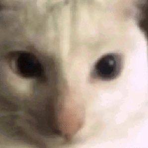 ZestyThesi's profile picture. 🔞An explicit alt account of oner//any/gay/cheetah