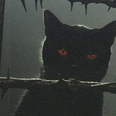 Helmiiiin's profile picture. Still in progress