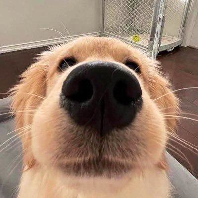 Raven_HQ's profile picture. Moving in silence. I don’t announce plays I execute them. If you see it, it’s already done💥🚀