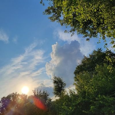 kelsyyynicole's profile picture. 