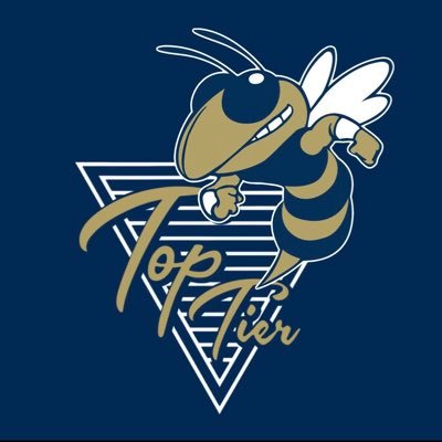 TopTierGT's profile picture. Direct affiliate of @TopTierState | All things GT | Sponsored by @Novig 🐝