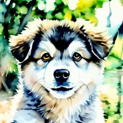 gojogojogojomar's profile picture. 崩壊からの苦悩の日々。愛犬（柴犬）の名はごじょー丸。あんじょーしたって！