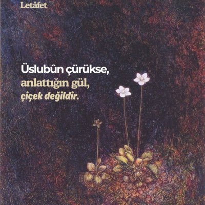 efarslnbs's profile picture. 