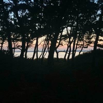 Sablenoir5613's profile picture. 