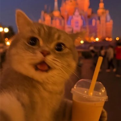 ticket052's profile picture. https://t.co/JpAcxTkZRw