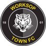 worksoptownfc's profile picture. The Official X account of Worksop Town Football Club | Members of the @UKEnterprise National League North